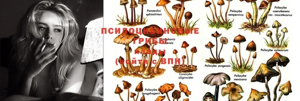 экстази Алзамай